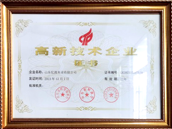 高新技術(shù)企業(yè)